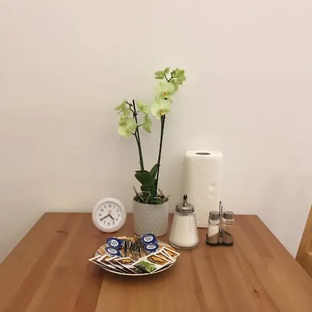 Ljubljana Rooms Lublaň